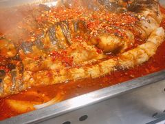 -鱼酷活鱼烤鱼(昆明路店)