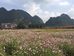 -靖西鹅泉风景区