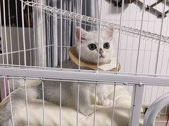 -福州肆爪动物医院