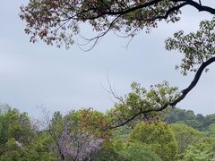 -柯岩风景区
