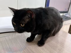 -荔康动物医院(康王北路店)