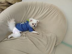 -怪兽屋·羊驼·猫咖·狗咖(俊华广场店)