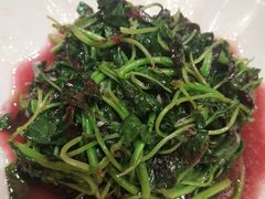 -阿英煲(凉城路店)