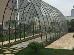 -星光花园影城(衡成天虹广场店)