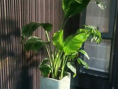 -阿伟海鲜楼·福建菜(涵江店)