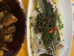 -鸽王世家(东华东路店)