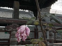 -大学习巷清真寺