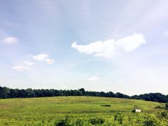 iphone_upload_pic-长木花园