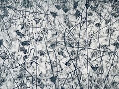 -江苏省美术馆(长江路新馆)