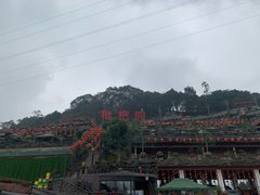 -枇杷园食为鲜火锅(南山店)