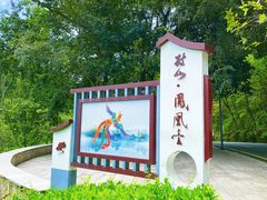 -神光山国家森林公园