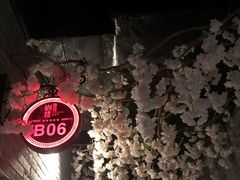 -尚橙歌坊主题式KTV(恒大商业广场店)