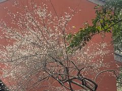 -满记甜品(湖滨店)