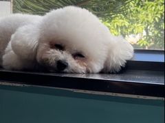 -默迹咖啡馆