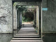 -燕晗山郊野公园