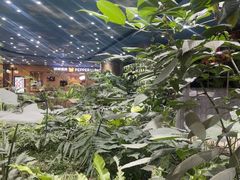 -凯德广场(学府店)