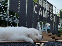 -J Create城市露营咖啡·简餐·宠物(上海动物园店)