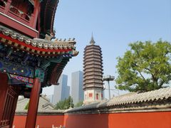 -西海子公园