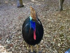 -费瑟代尔野生动物园