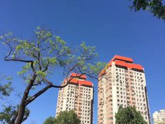 -文瀛公园