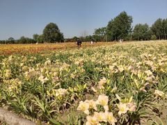 -汉长安城未央宫国家考古遗址公园