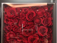 -ROSEONLY诺誓(广州K11店)