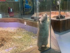 -顺德南宏海立方海洋公园