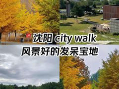 -长白岛森林公园