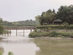 -广东花都湖国家湿地公园