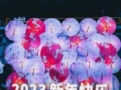 -珠江琶醍