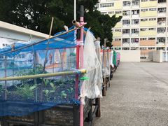 -彩虹村