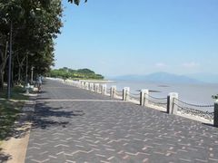 -深圳湾公园(南山区)