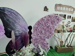 -丹迪兰幼稚园