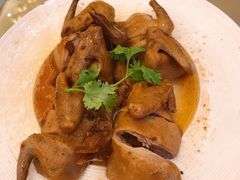 红烧乳鸽-沙龙酒家