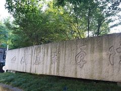 -黄桷坪涂鸦艺术街