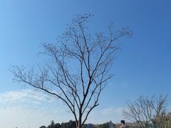 -黄贤森林公园