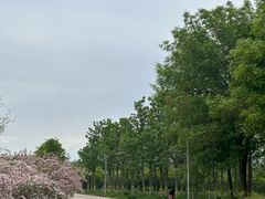 -永定河休闲森林公园