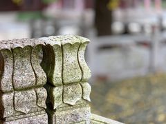 -上海青龙寺