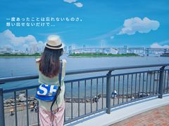 -台场海滨公园船码头