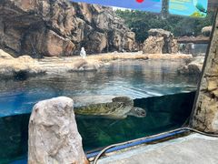 -珠海长隆海洋王国