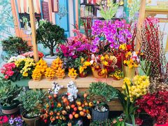 -海心沙亚运公园