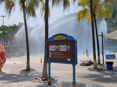 -重庆海昌加勒比海水世界