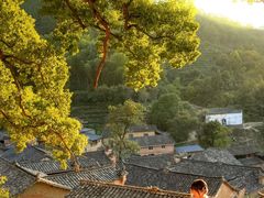 -杨家堂村
