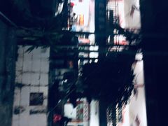 -阿清嫂农家乐.黎窑烤鸡