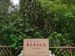-小洲村