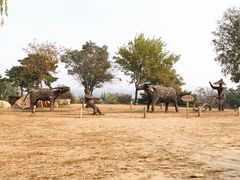 -北京西山国家森林公园