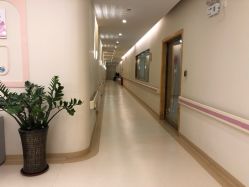 -莉泽月子中心(凯旋江景店)