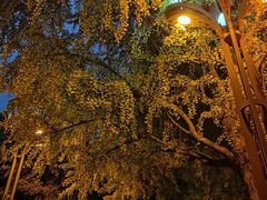 -四川大学(华西校区)