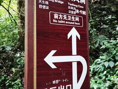-大七孔景区-天生桥
