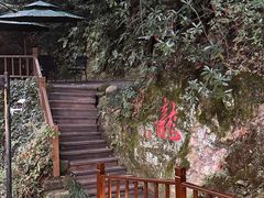 -十八棵（老龙井）御茶园(老龙井店)